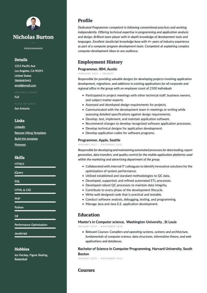 Professional Programmer Resume Green Example