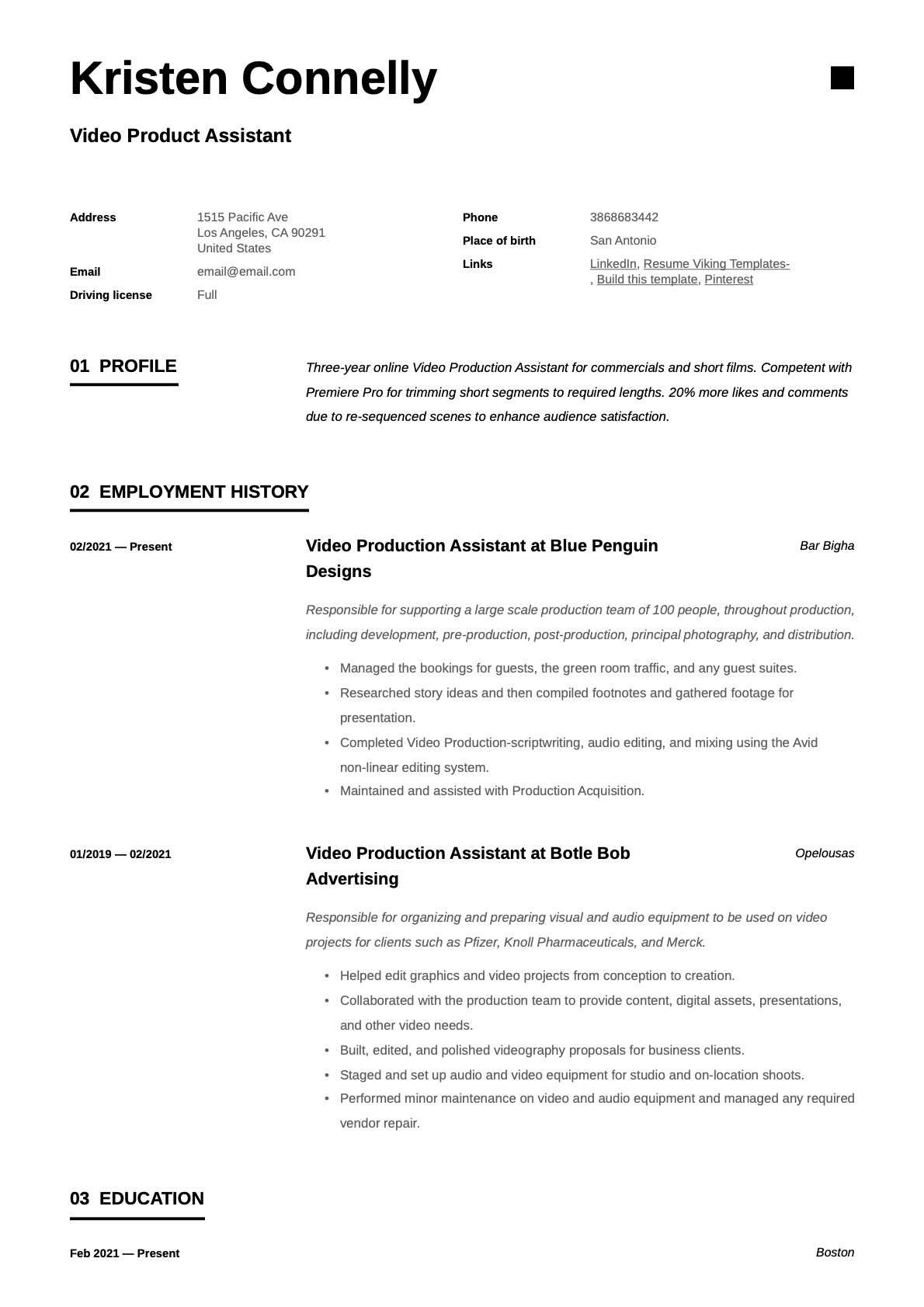 Simple Video Production Assistant Resume Template