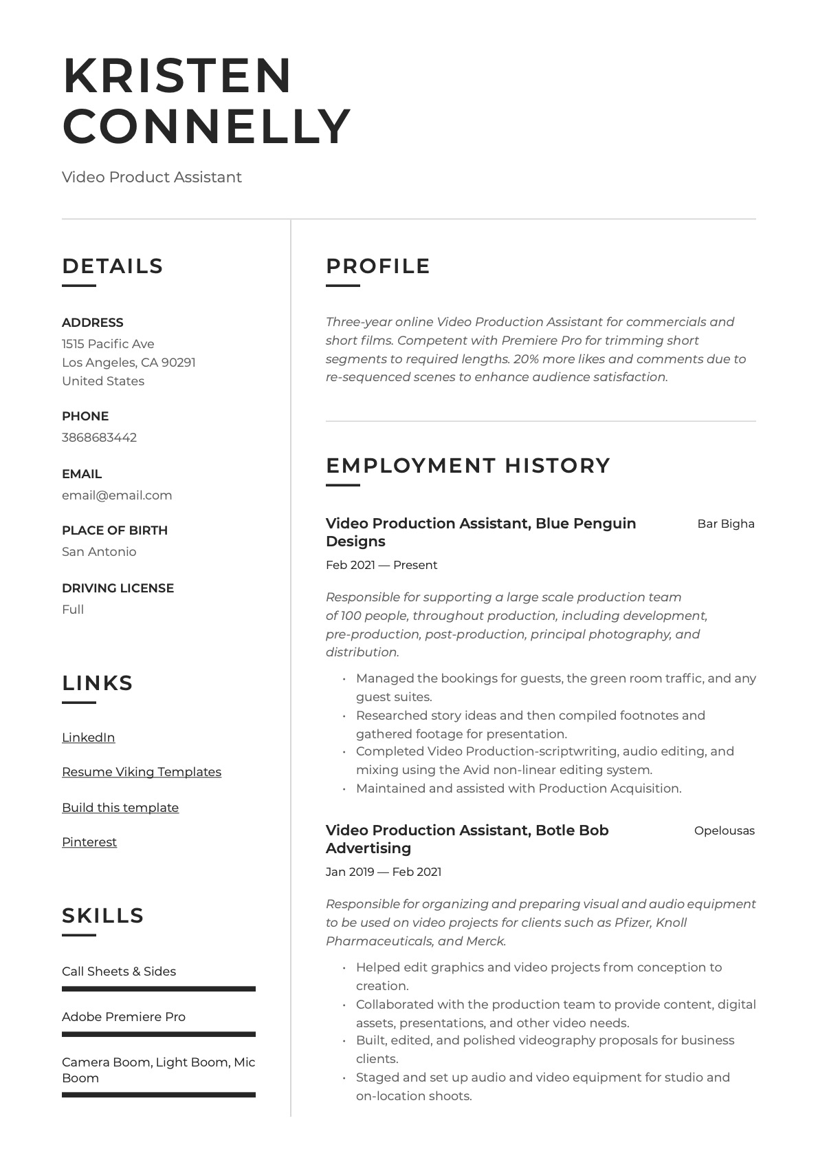 Modern Video Production Assistant Resume Example