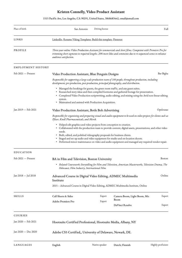 Professional Video Production Assistant Resume Template