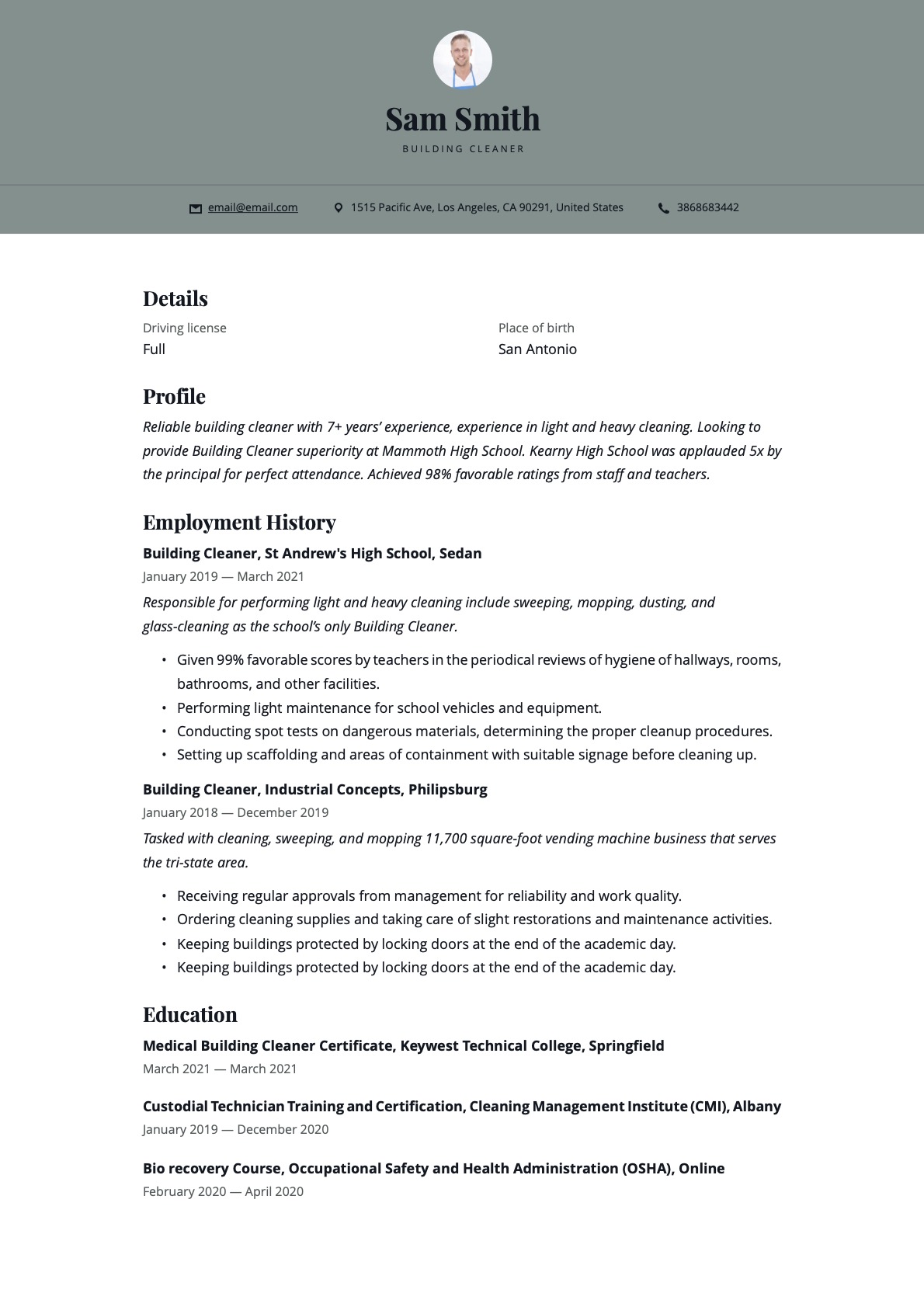Example Resume Building Cleaner-12