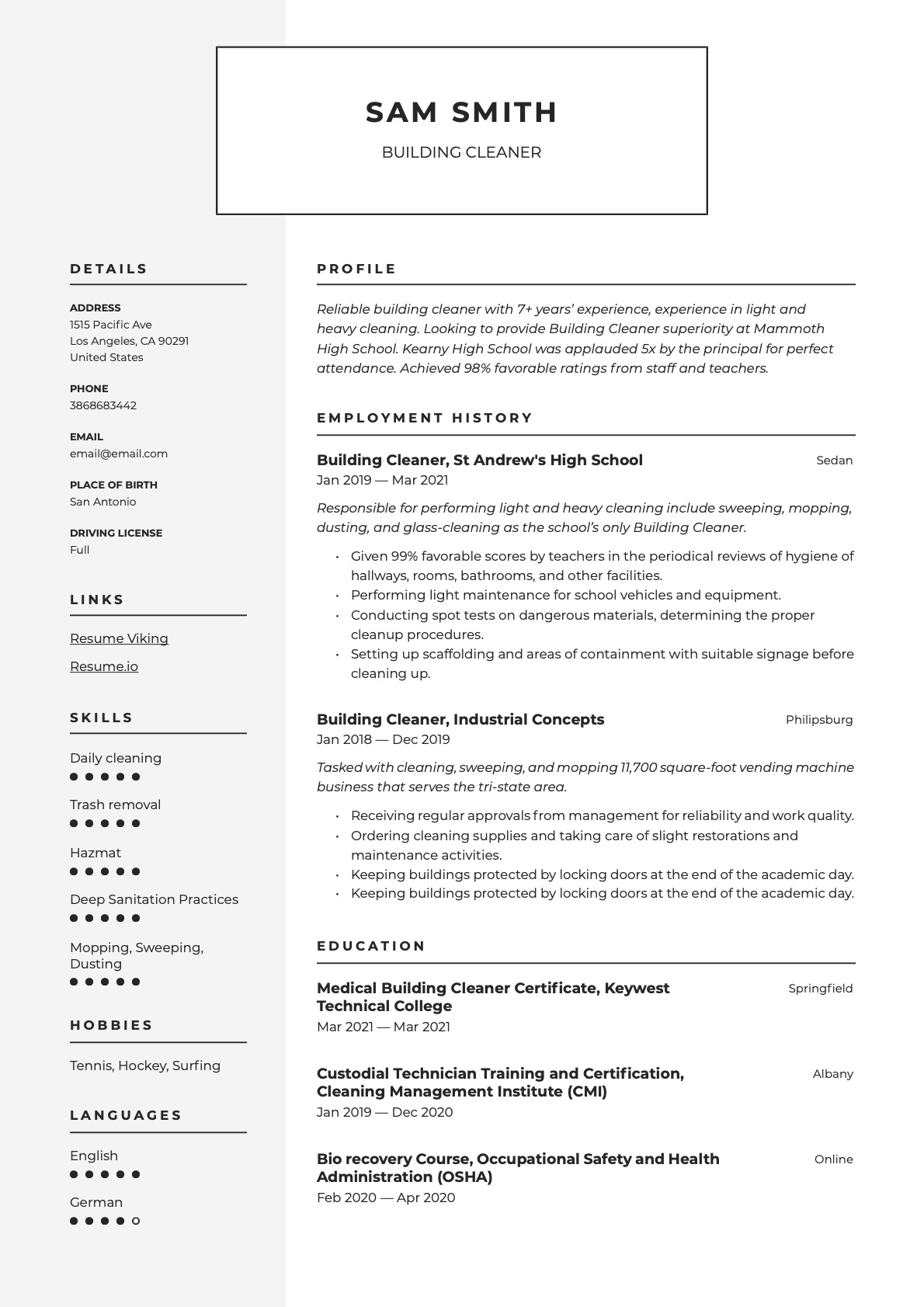 Example Resume Building Cleaner-8