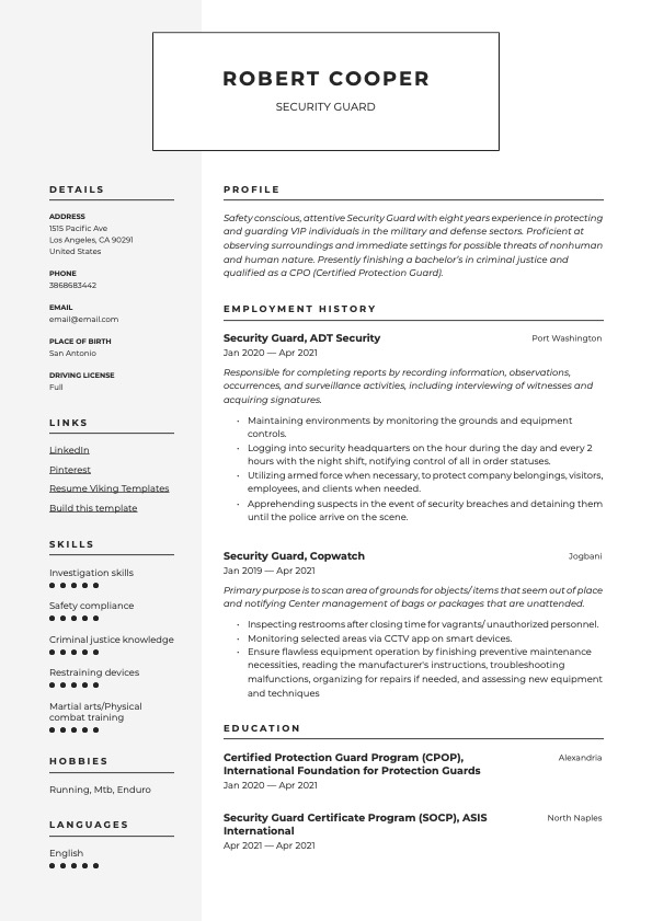 Modern Security Guard Resume Example