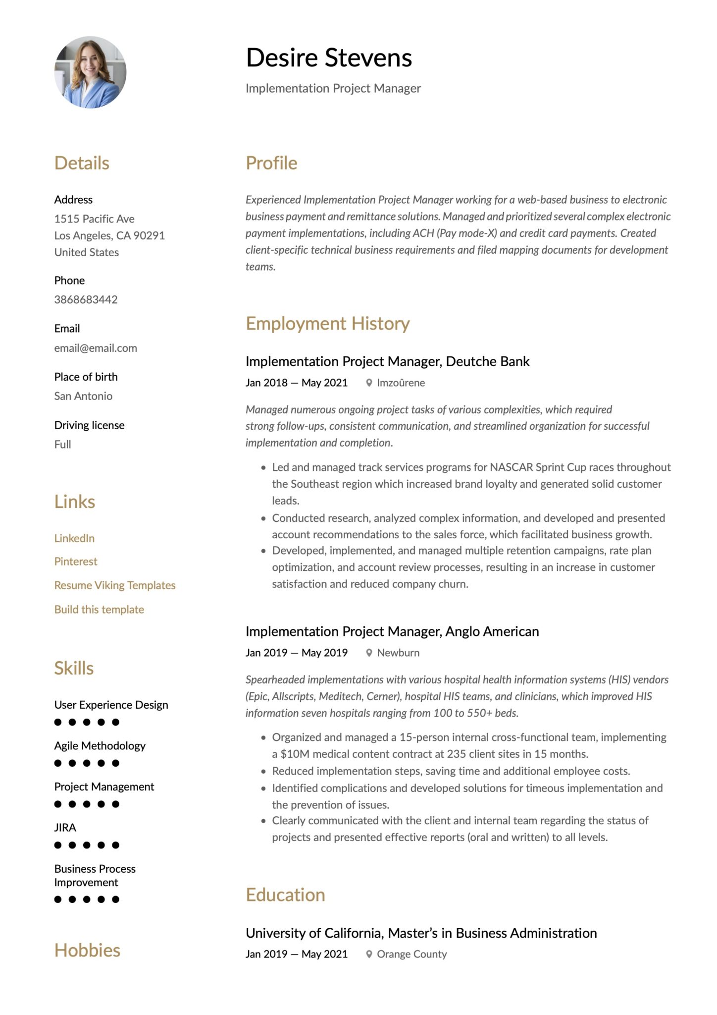 Simple Implementation Project Manager Resume Template