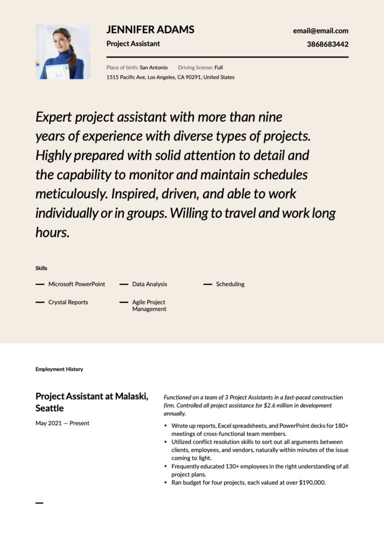 Modern Project Assistant Resume Template