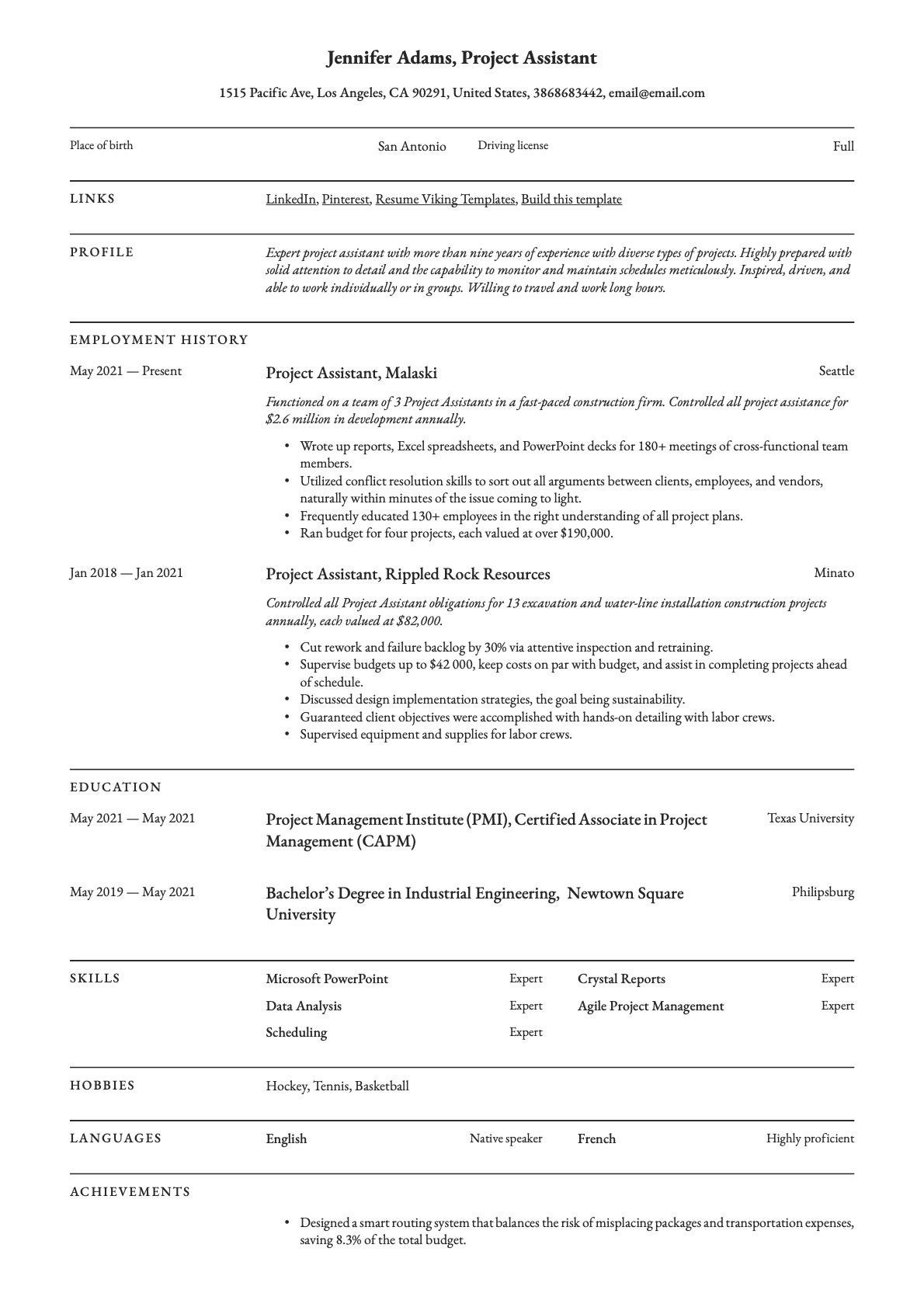 Professional Project Assistant Resume Template