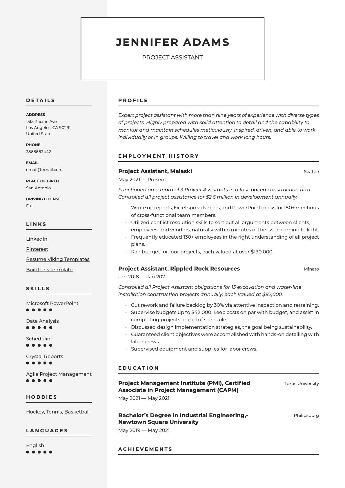 Modern Project Assistant Resume Example