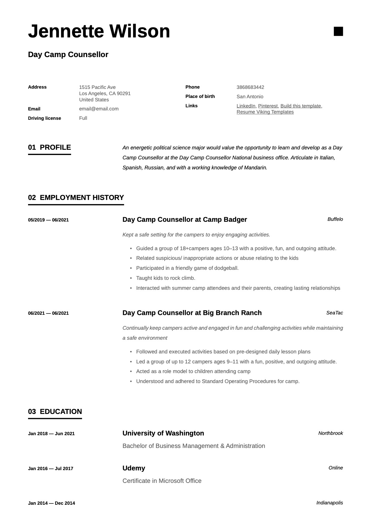 Simple Day Camp Counsellor Resume Template