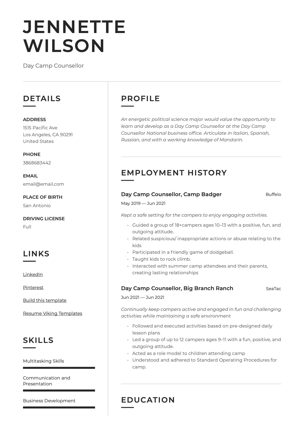 Modern Day Camp Counsellor Resume Example
