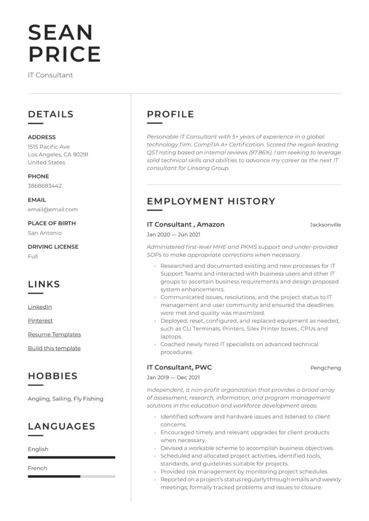 Modern Resume Sample