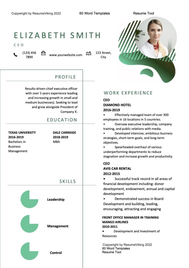 CEO Word Resume document
