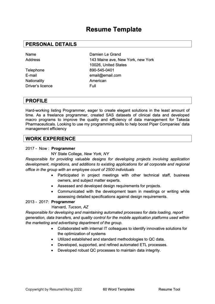 Programmer Word Resume document