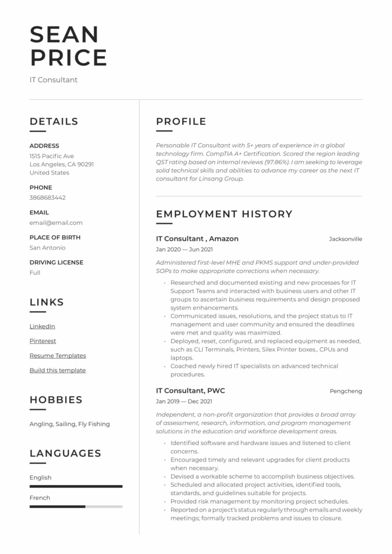 modern resume format
